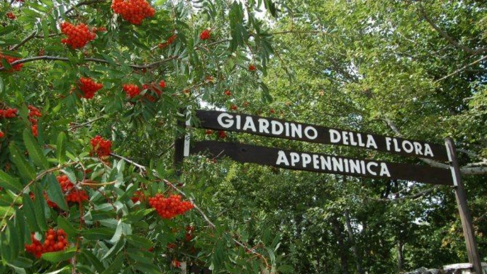 Prima edizione del Festival dell’Awen a Capracotta, il sindaco Paglione: “Massimo sostegno alla manifestazione”